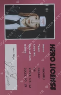 TROUBLESHOOTER ID CARD