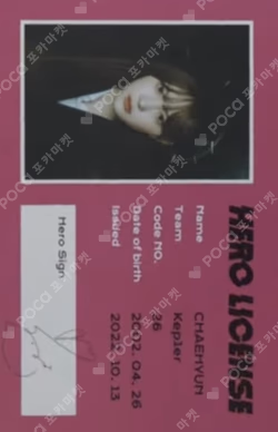TROUBLESHOOTER ID CARD