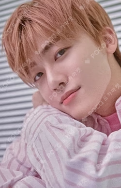 DREAM LAUNDRY SHOP RANDOM LAUNDRY CARD PACK