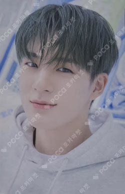 DREAM LAUNDRY SHOP PHOTO HOLDER & STICKER