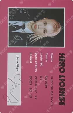 TROUBLESHOOTER ID CARD