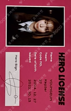 TROUBLESHOOTER ID CARD