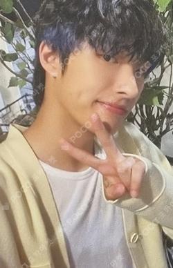 mernel