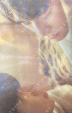 Semantic Error Lenticular Photocard SET
