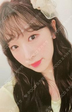 WJ PLEASE? αγυρτης ver.