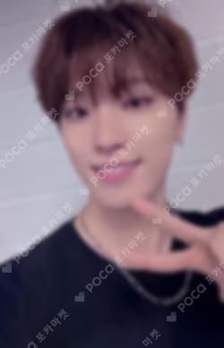 Seventeen DINO photocard image