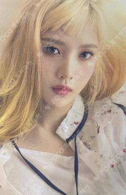 8th Anniversary Repackage Photo Card Set JOY photocard image