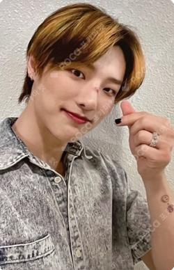 COLORFUL TRAUMA EVERLINE