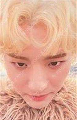 WOOPS! WOODZ photocard image