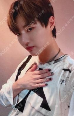 COLORFUL TRAUMA EVERLINE WOODZ photocard image