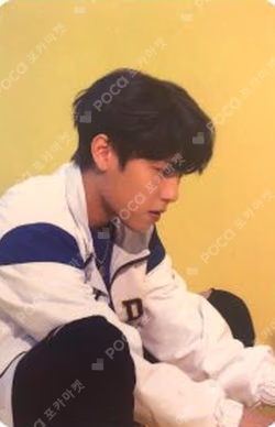 VIVID V VER.