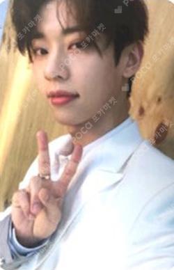 VIVID D VER.
