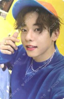 VIVID V VER.