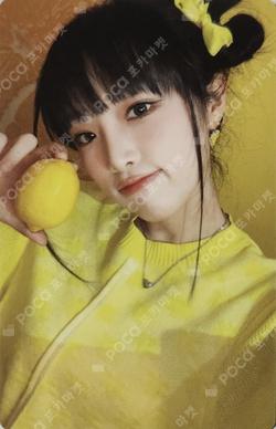 2023 SEASON'S GREETINGS [YENA'S Fruit Store]