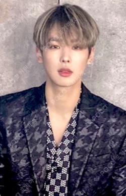 VICTON Photocards | Pocamarket