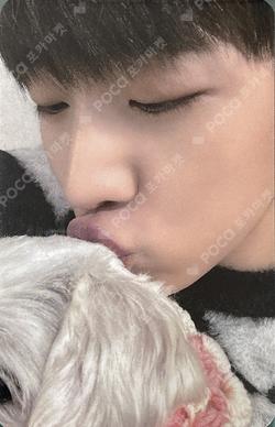 DKZ Year End Project Song : It’s All Right Part.3 EVERLINE LUCKY DRAW JaeChan photocard image