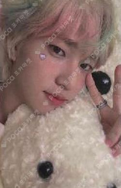 2022 P1Harmony SEASON’S GREETINGS FORTUNE TRADING CARD THEO photocard image