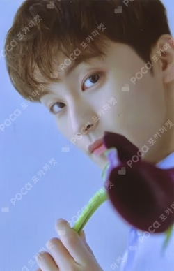 STARRY DAYDREAM RANDOM DREAM CARD PACK