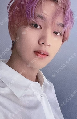 STARRY DAYDREAM RANDOM DREAM CARD PACK