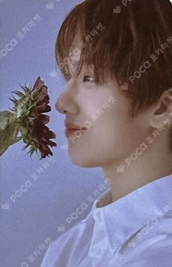 STARRY DAYDREAM RANDOM DREAM CARD PACK