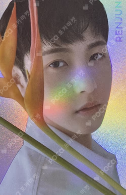 STARRY DAYDREAM HOLOGRAM PHOTO CARD SET