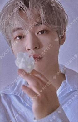 STARRY DAYDREAM RANDOM DREAM CARD PACK