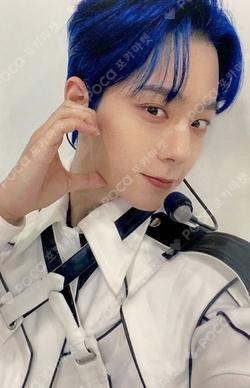 TRICKSTER DEAR MY MUSE