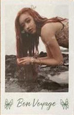 Bon Voyage POLAROID SET