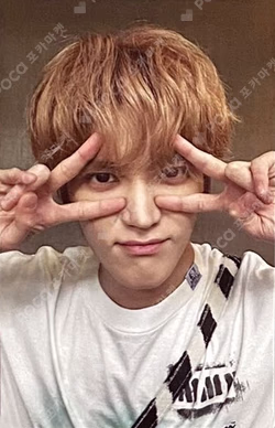 Ay-Yo SYNNARA RECORD