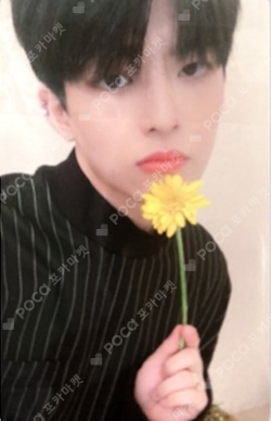 victon スンウ レンチキュラートレカ アルバム トレカ 伍月哀(오월애) Pocamarket, VICTON SUBIN 2019 VICTON 1st ASIA TOUR VOICE TO ALICE