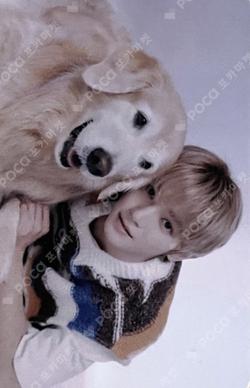 [TO THE NCT UNIVERSE] NCT HOME FATCARON 6P&PHOTO CARD SET TAEYONG photocard image