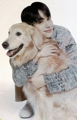 [TO THE NCT UNIVERSE] NCT HOME FATCARON 6P&PHOTO CARD SET JUNGWOO photocard image