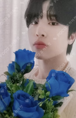 NIGHTGARDEN TREASURE PHOTO SCRAP KIT