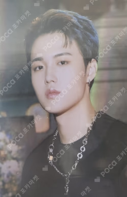 NIGHTGARDEN TREASURE TRADING PHOTO CARD TYPE 1