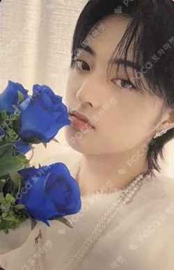 NIGHTGARDEN TREASURE PHOTO SCRAP KIT