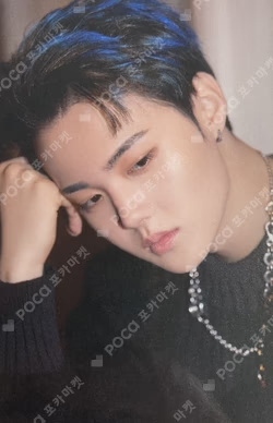 NIGHTGARDEN TREASURE TRADING PHOTO CARD TYPE 1