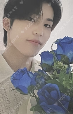 NIGHTGARDEN TREASURE PHOTO SCRAP KIT