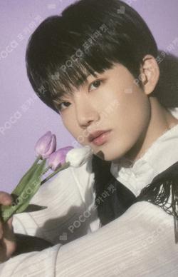 NIGHTGARDEN TREASURE TRADING PHOTO CARD TYPE 2