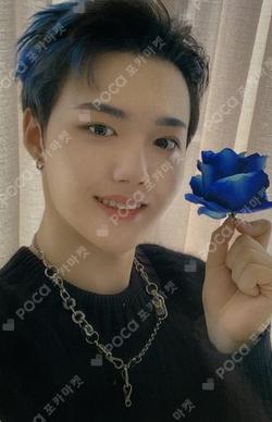 NIGHTGARDEN TREASURE PHOTO CARD COLLECT BOOK