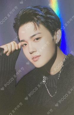 NIGHTGARDEN TREASURE TRADING PHOTO CARD TYPE 2