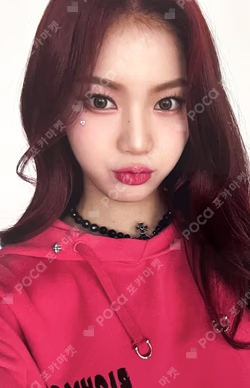 Teddy Bear APPLEMUSIC LUCKY DRAW