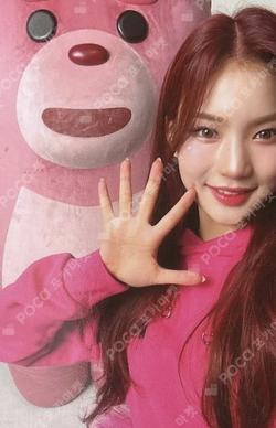 Teddy Bear MINI L-HOLDER SET B SET
