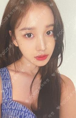 Teddy Bear KpopMerch Lazada/ Shopee