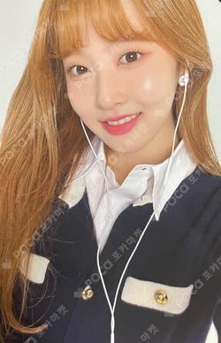 Teddy Bear KpopMerch Lazada/ Shopee Sieun photocard image