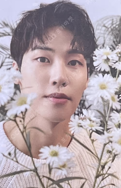 1st Photo Book : Light in the Dark