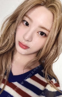 Teddy Bear KpopMerch Lazada/ Shopee