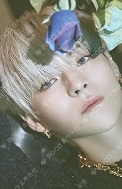 NIGHTGARDEN TREASURE TRADING PHOTO CARD TYPE 1