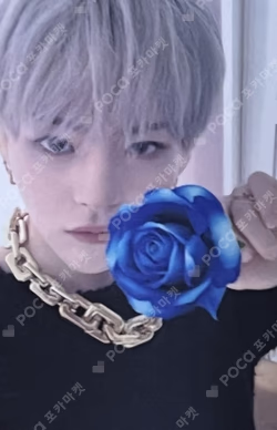 NIGHTGARDEN LUCKY DRAW