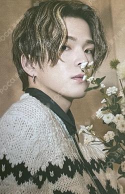 NIGHTGARDEN TREASURE TRADING PHOTO CARD TYPE 1