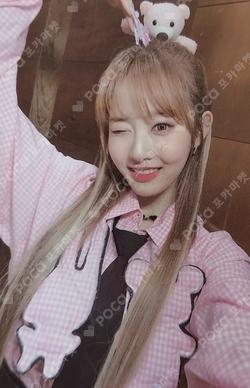 Teddy Bear Gift Edition Ver.